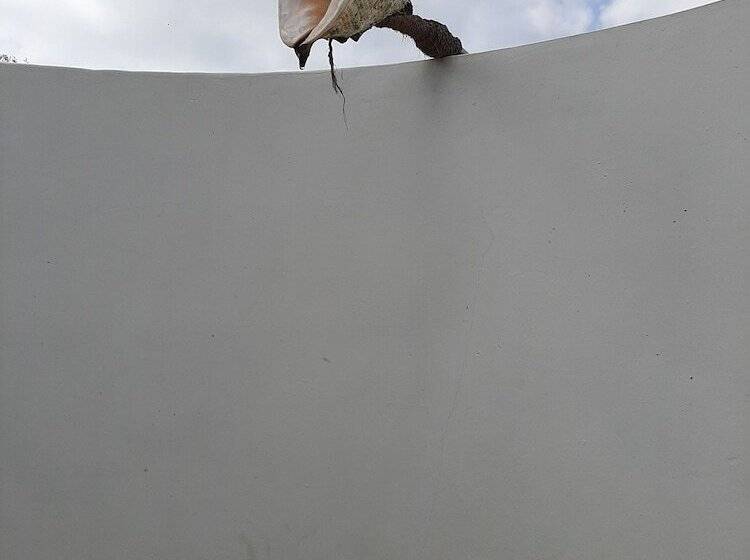 Отель Omeesha Beach