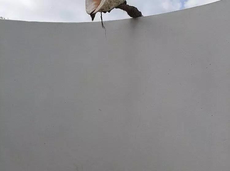 Hotelli Omeesha Beach