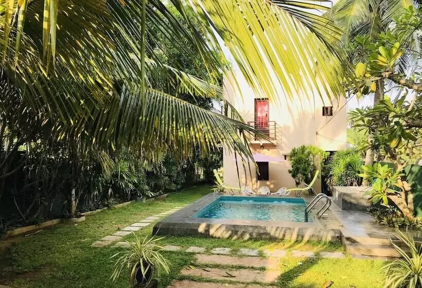 Sri Beach Bungalows And Villa