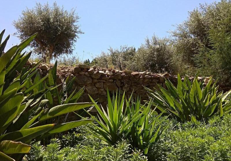 酒店 Convento Inn And Artist Residencies