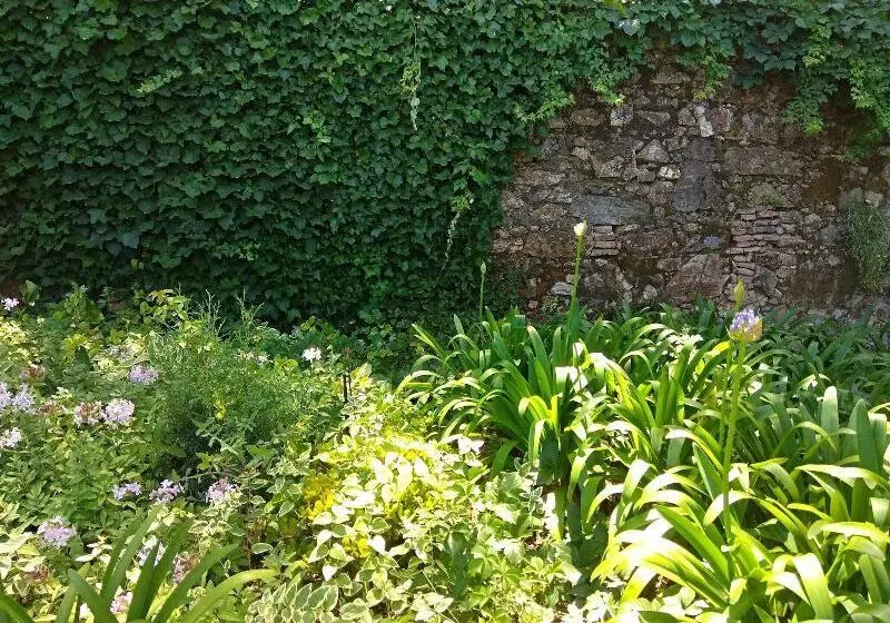 ホテル Convento Inn And Artist Residencies