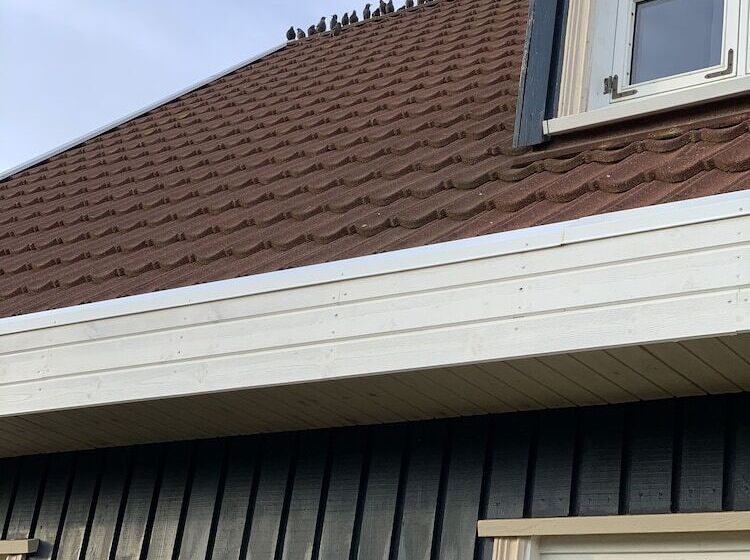 هتل Guesthouse Heba