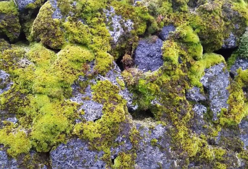 هتل Guesthouse Heba