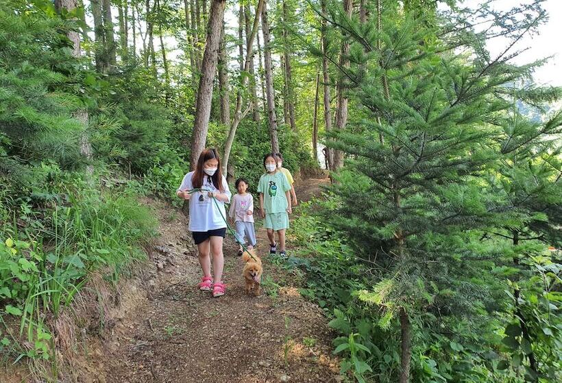 ホテル Heidi Korea