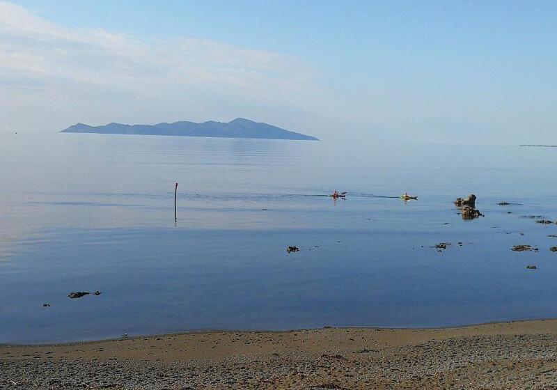 Отель Kapiti Waves Bed & Breakfast