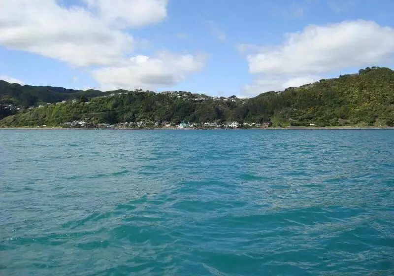 Hotelli Kapiti Waves Bed & Breakfast