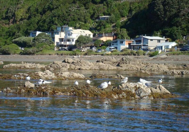 Отель Kapiti Waves Bed & Breakfast