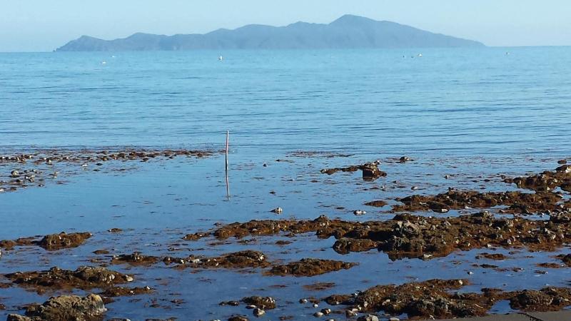 Отель Kapiti Waves Bed & Breakfast