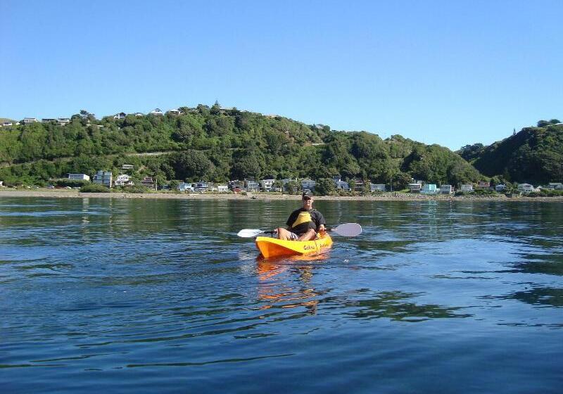 Отель Kapiti Waves Bed & Breakfast