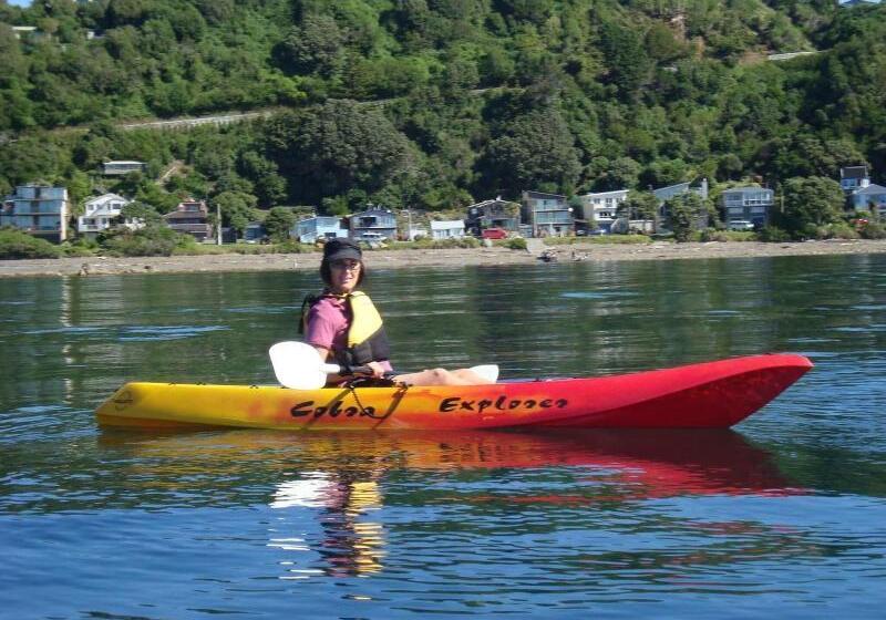 Отель Kapiti Waves Bed & Breakfast