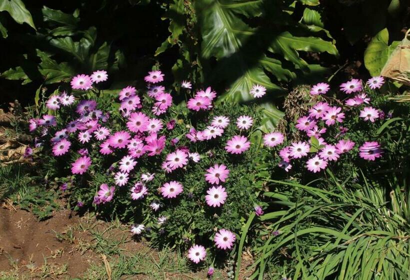 Hotel Kareekloof Game Farm