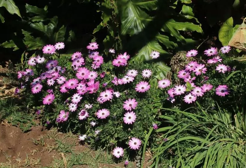 ホテル Kareekloof Game Farm