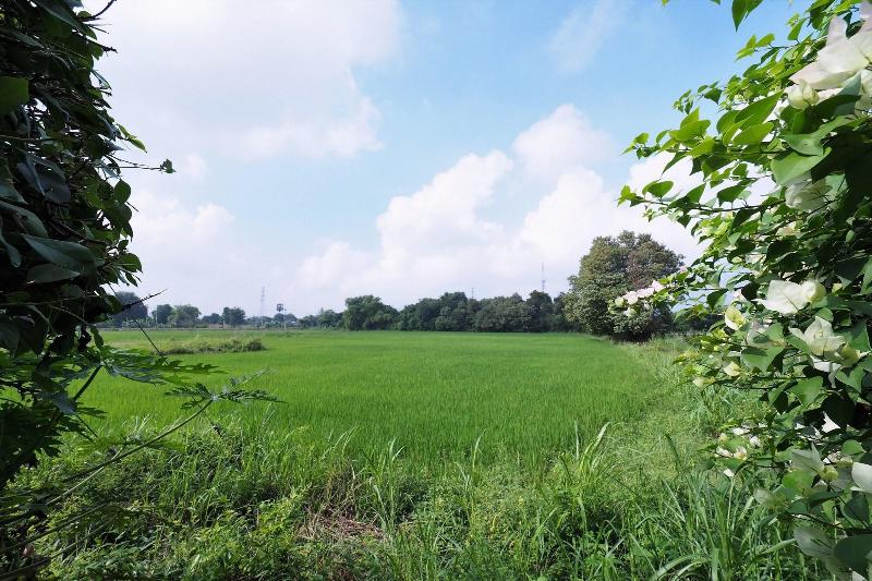 ホテル Sweet Inn Resort