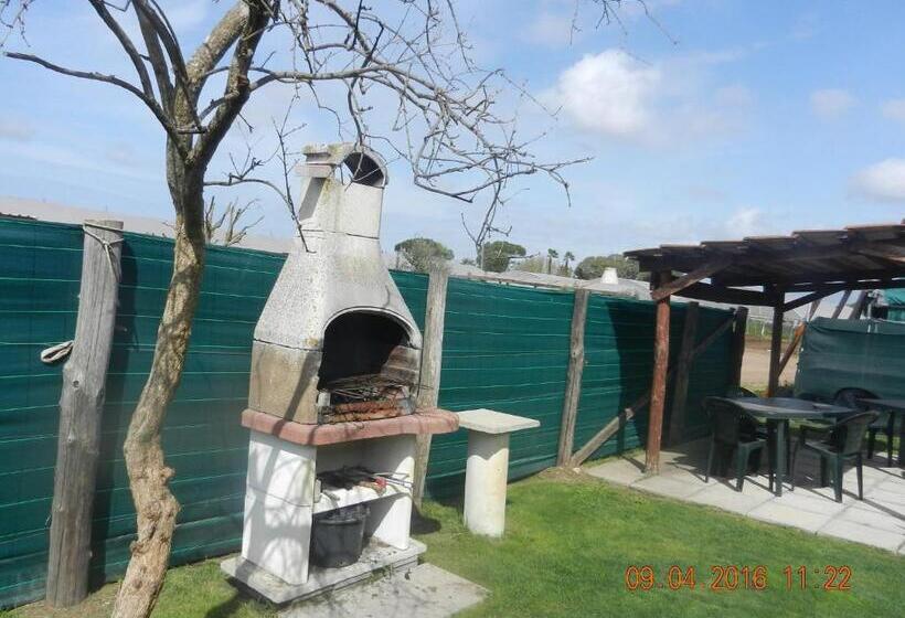 مبيت وإفطار Le Terre Di Bac