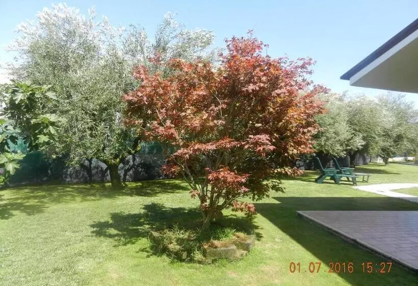 Aamiaismajoitus (B&B) Le Terre Di Bac