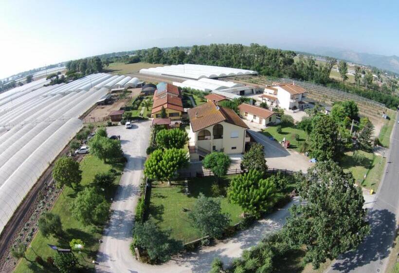 مبيت وإفطار Le Terre Di Bac