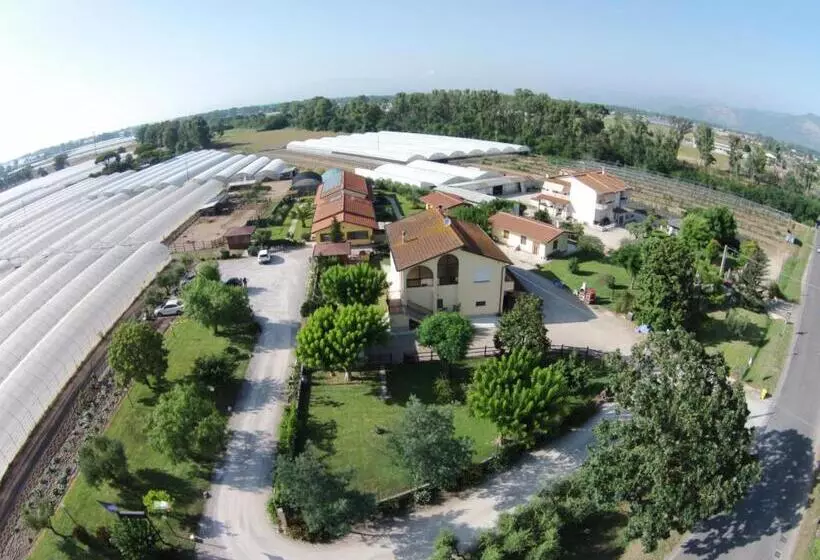 Aamiaismajoitus (B&B) Le Terre Di Bac