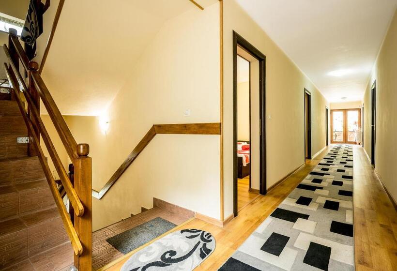 بنسيون Vila Nico