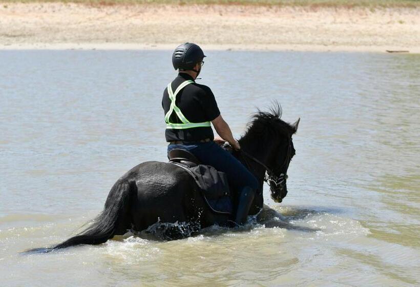 B&b Hotel De Vrije Vogel