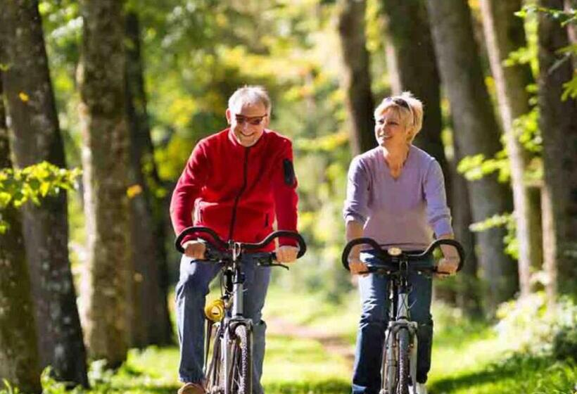 B&b Hotel De Vrije Vogel