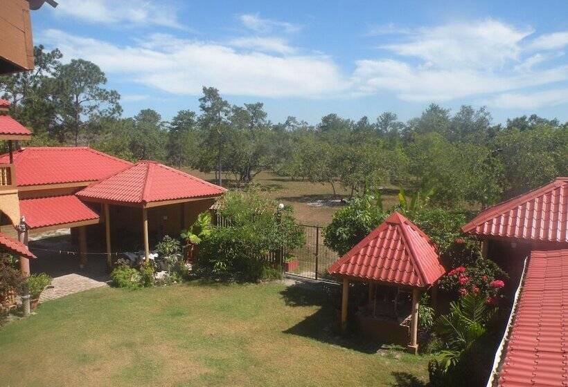 Becks Bed And Breakfast