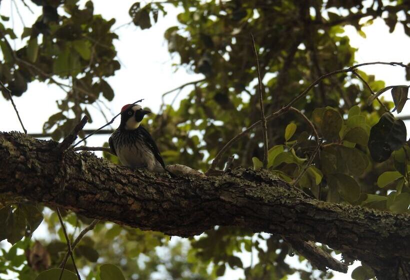 Becks Bed And Breakfast