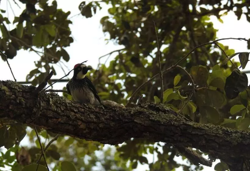 Becks Bed And Breakfast