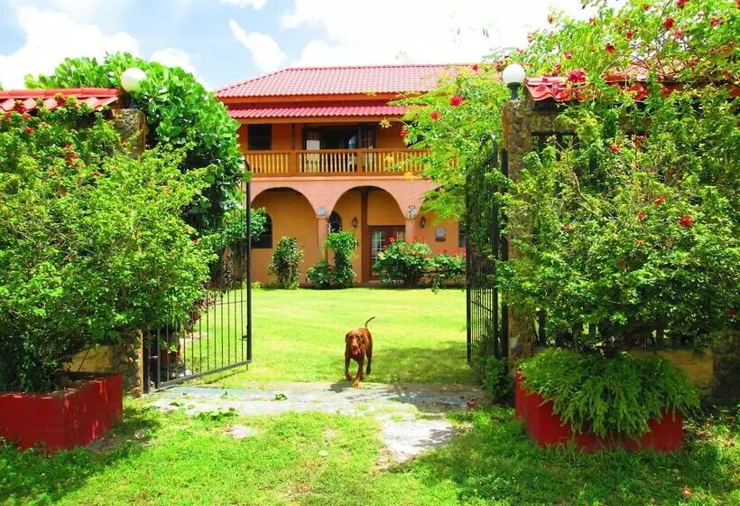 Becks Bed And Breakfast