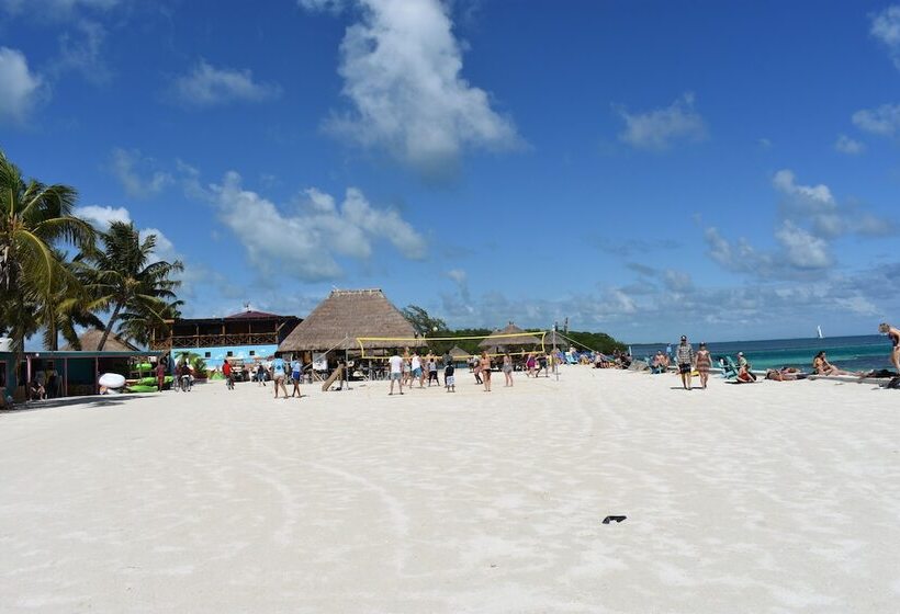 Becks Bed And Breakfast