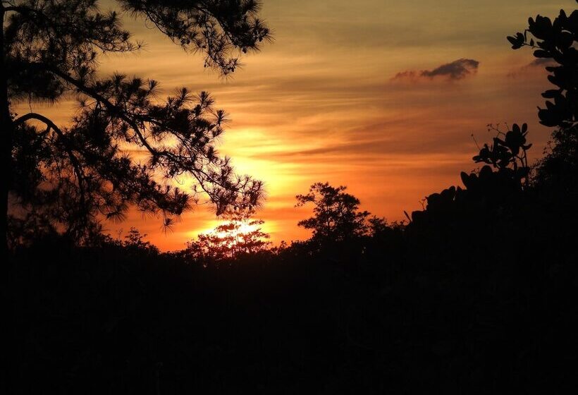 Becks Bed And Breakfast