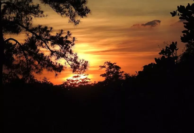 Becks Bed And Breakfast