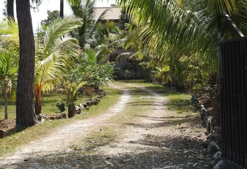 Becks Bed And Breakfast