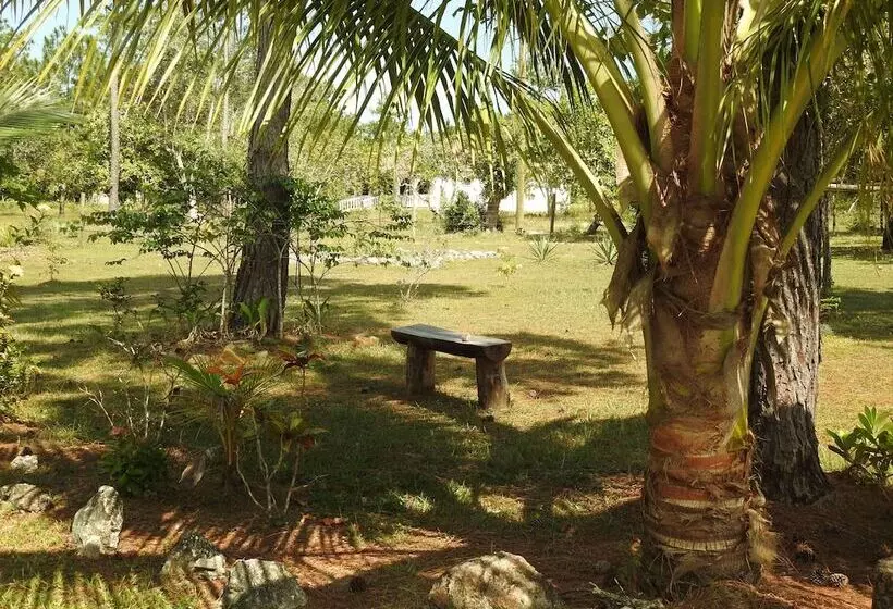 Becks Bed And Breakfast