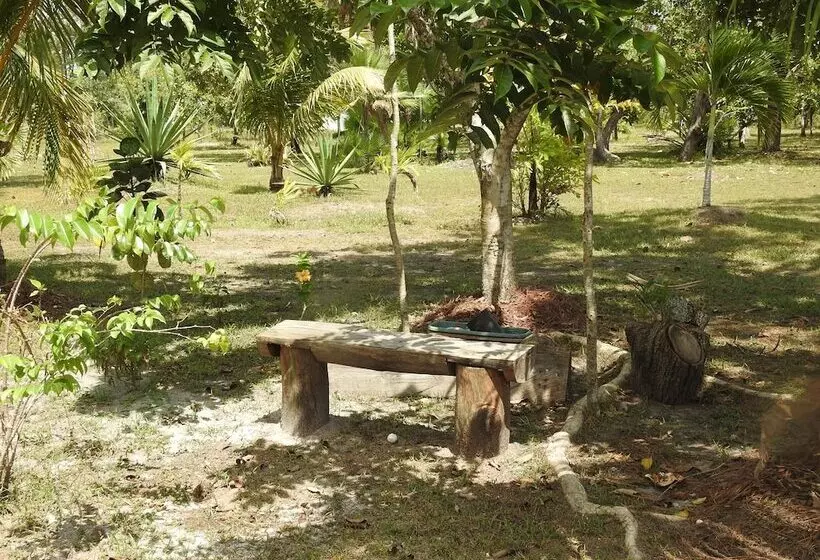 Becks Bed And Breakfast