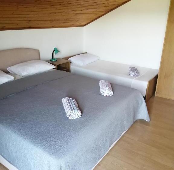 膳宿费 Guesthouse Zafran