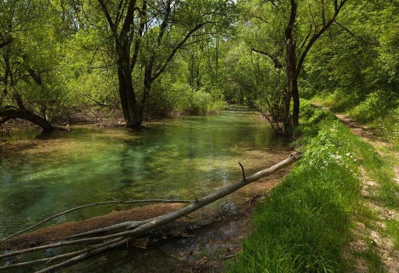 膳宿费 Guesthouse Zafran