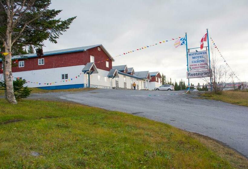 호스텔 Mayflower Inn