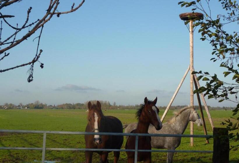 Bed and Breakfast Boerderij De Verwondering