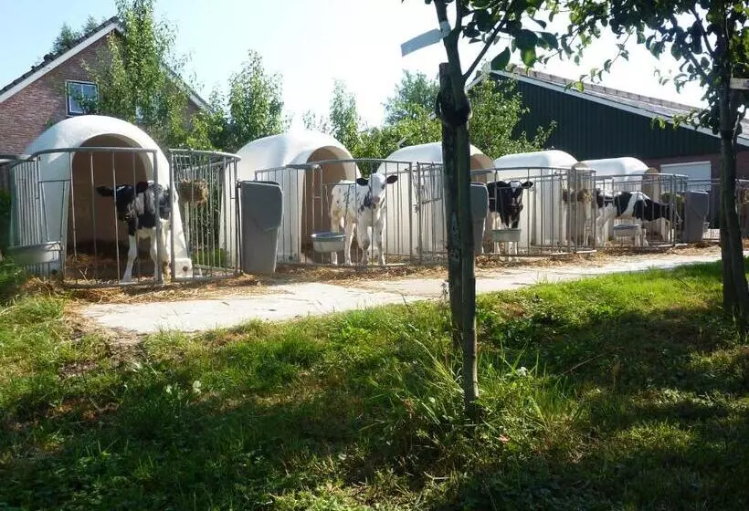 Aamiaismajoitus (B&B) Boerderij De Verwondering