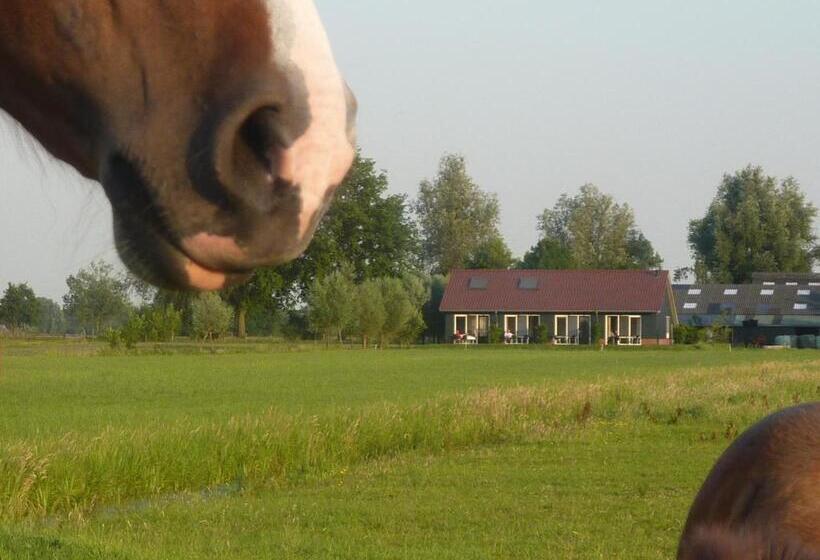 Bed and Breakfast Boerderij De Verwondering