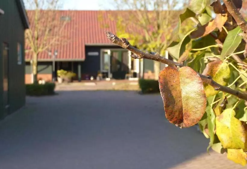 Aamiaismajoitus (B&B) Boerderij De Verwondering