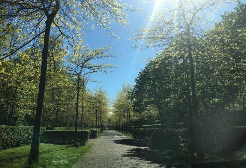 ホテル De Zilvermeeuw