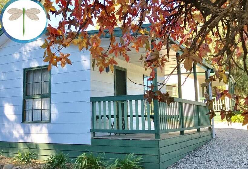ホテル Fernleigh Accommodation