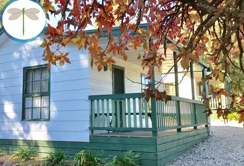 ホテル Fernleigh Accommodation