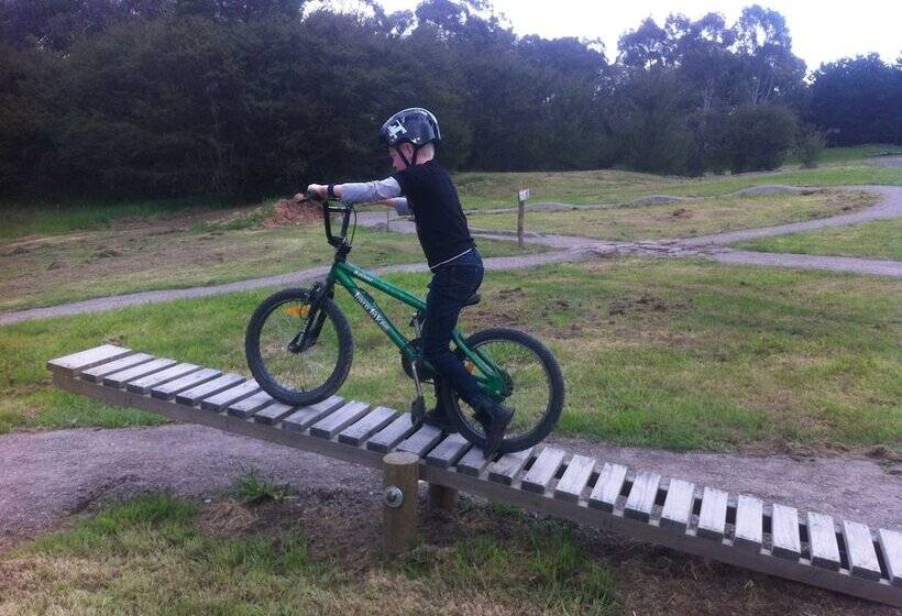 ホテル Fernleigh Accommodation