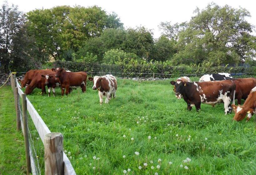 酒店 Mellby ör Inn