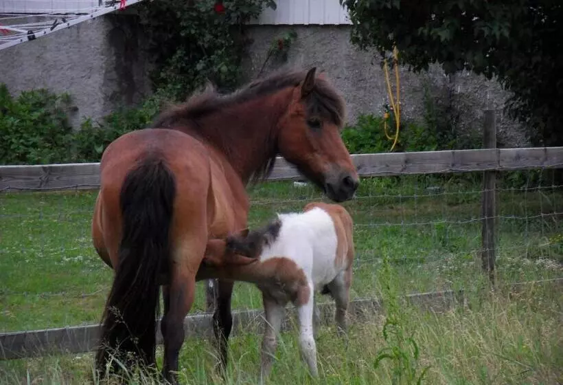 ホテル Mellby ör Inn