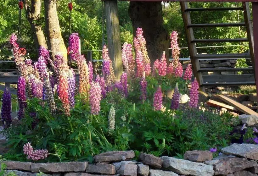 ホテル Mellby ör Inn