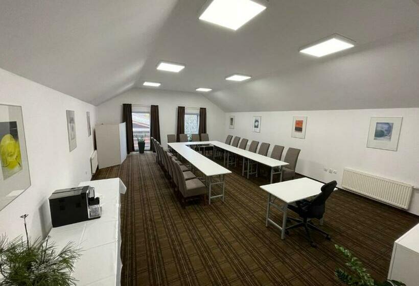 בית מלון כפרי Mlyn