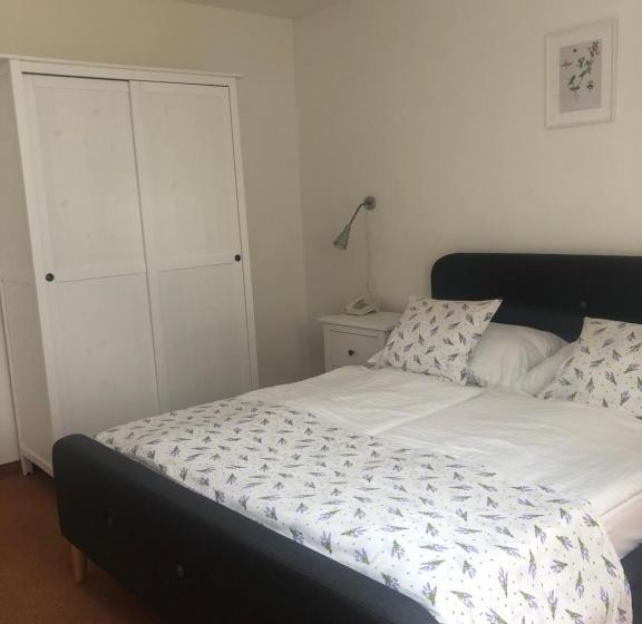 בית מלון כפרי Mlyn